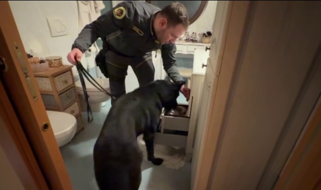 I militari della guardia di finanza hanno eseguito perquisizioni anche con l’aiuto delle unità cinofile