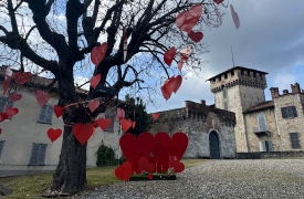 Somma, l’amore prende forma sotto l’Albero dei 100 Cuori,