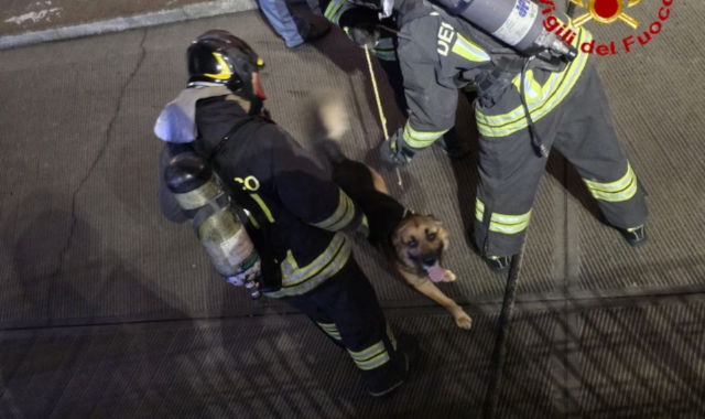 Busto Arsizio, fiamme in casa. Salvato un cane