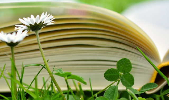 I libri da riscoprire nell’era dei social