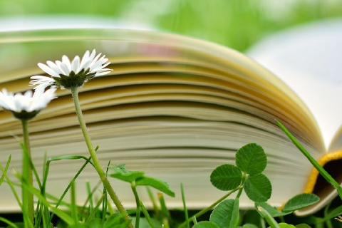 I libri da riscoprire nell’era dei social