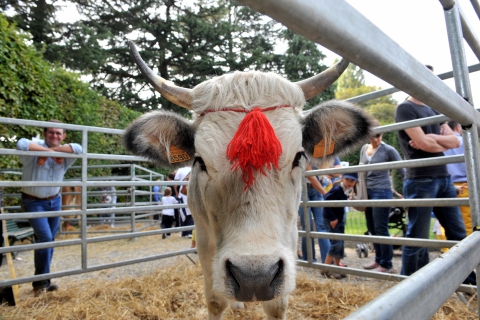 Agrivarese torna ai Giardini Estensi