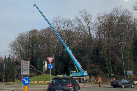 Varese, il cantiere domenicale della pianta