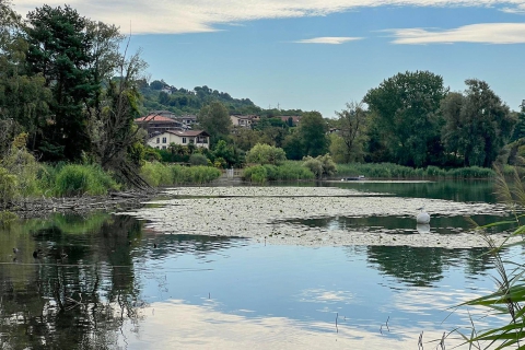 «Non voto da trent’anni. Serve la scienza»