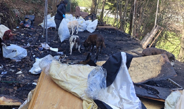 Fuoco nel bosco: salvi l’eremita e 14 cani