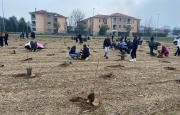 Forestami: 405 piante per far nascere un bosco
