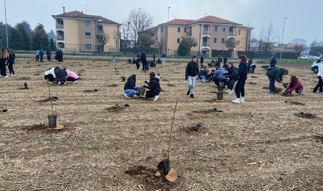Gli studenti hanno partecipato alla piantagione