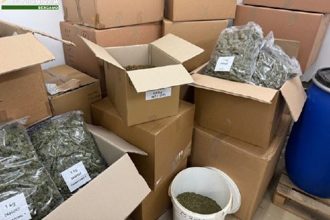 Gavirate, società della droga: sei arresti