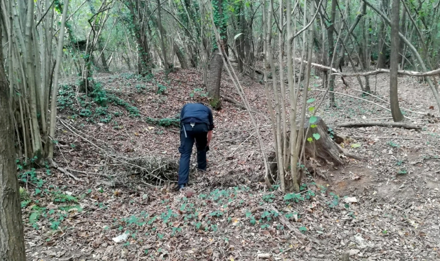 L’episodio legato allo spaccio nei boschi avvenne a Marchirolo
