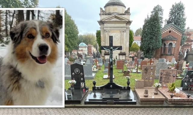 «Le ceneri del cane con la salma del padrone»