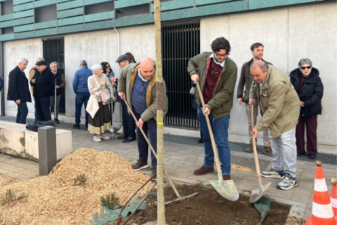 Varese: magnolie all’ombra del multipiano