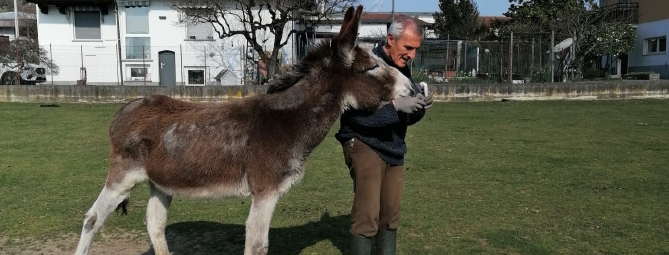 Animali felici a rischio sfratto: parte la raccolta fondi