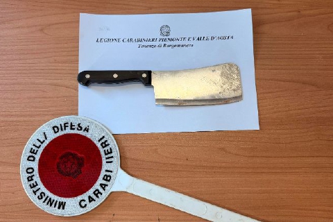 Sfregia la rivale con una mannaia: 24enne in manette