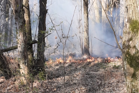 Fiamme nel Parco Pineta: in volo l'elicottero