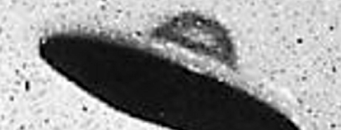 Ufo, da dischi volanti a demoni di Vance