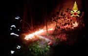 Fiamme nel bosco: bruciano mille metri quadrati