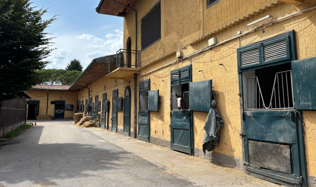 Varese, caso scuderie: incontro in municipio