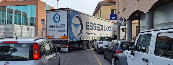 Busto: “bisonte” incastrato davanti al Tribunale