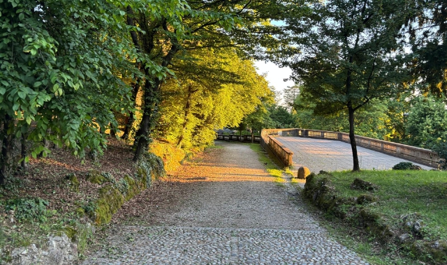 Un viale dei Giardini Estensi, dove è avvenuta l’aggressione, e nel riquadro Piero Galparoli di Futuro Nazionale Varese