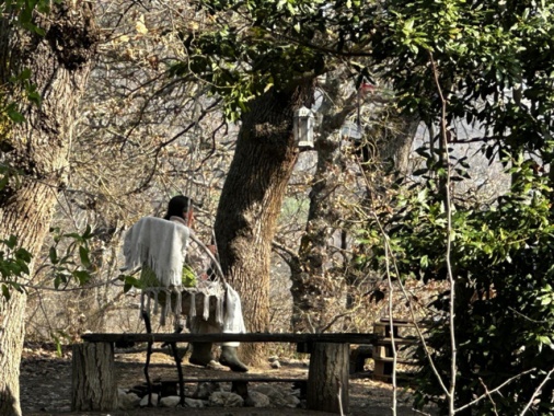 In arrivo la relazione degli ispettori del ministero sulla famiglia del bosco