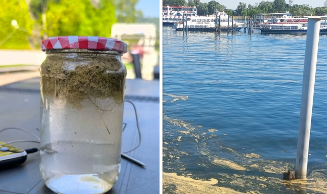Troppo caldo, il Lago Maggiore diventa giallo